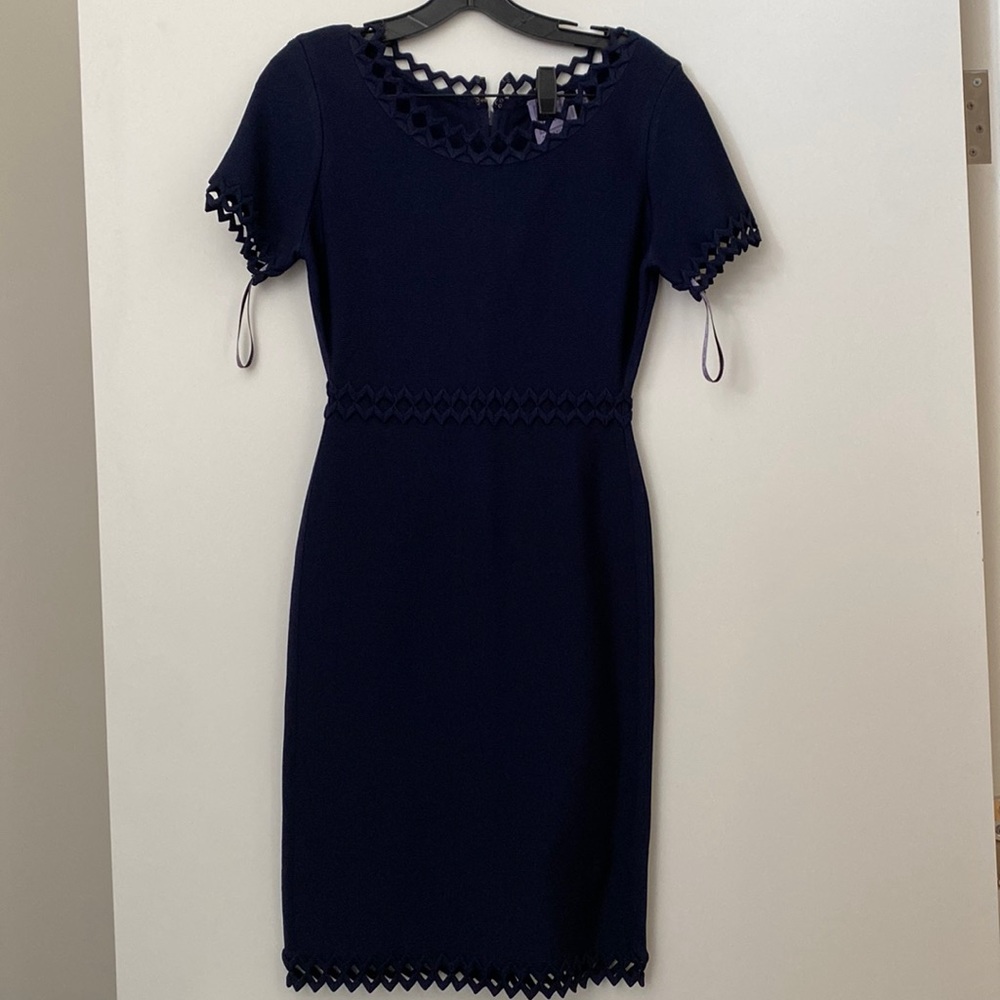 Herve Leger “Ariana” dress